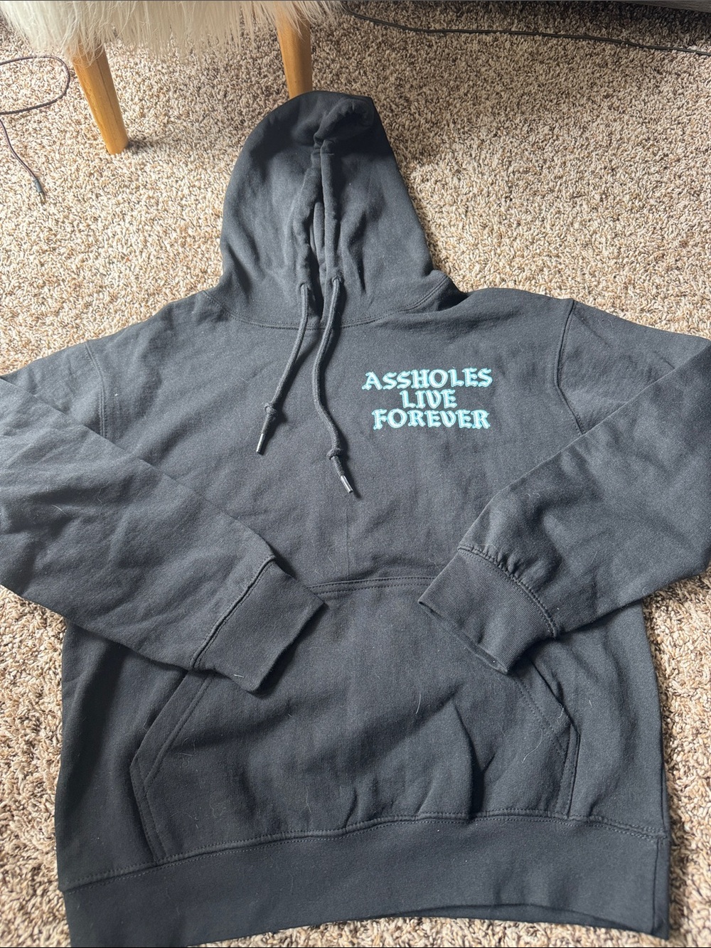 Black Hoodie with Teal Text - Assholes Live Forever